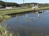 茨城のブラックバス管理釣り場 バスの管理釣り場ポータル 全国のブラックバス管理釣り場 釣り堀情報 茨城のブラックバス管理釣り場 バスの管理釣り場ポータル 全国のブラックバス管理釣り場 釣り堀情報